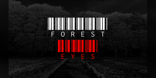 Cover image for Forest Eyes