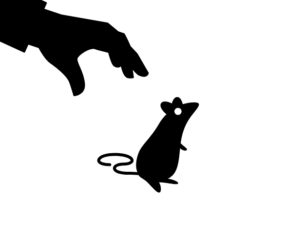 Cover image for Lab Rat