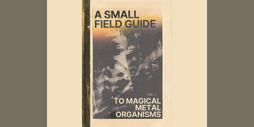 Cover image for A Small Field Guide to Magical Metal Organisms