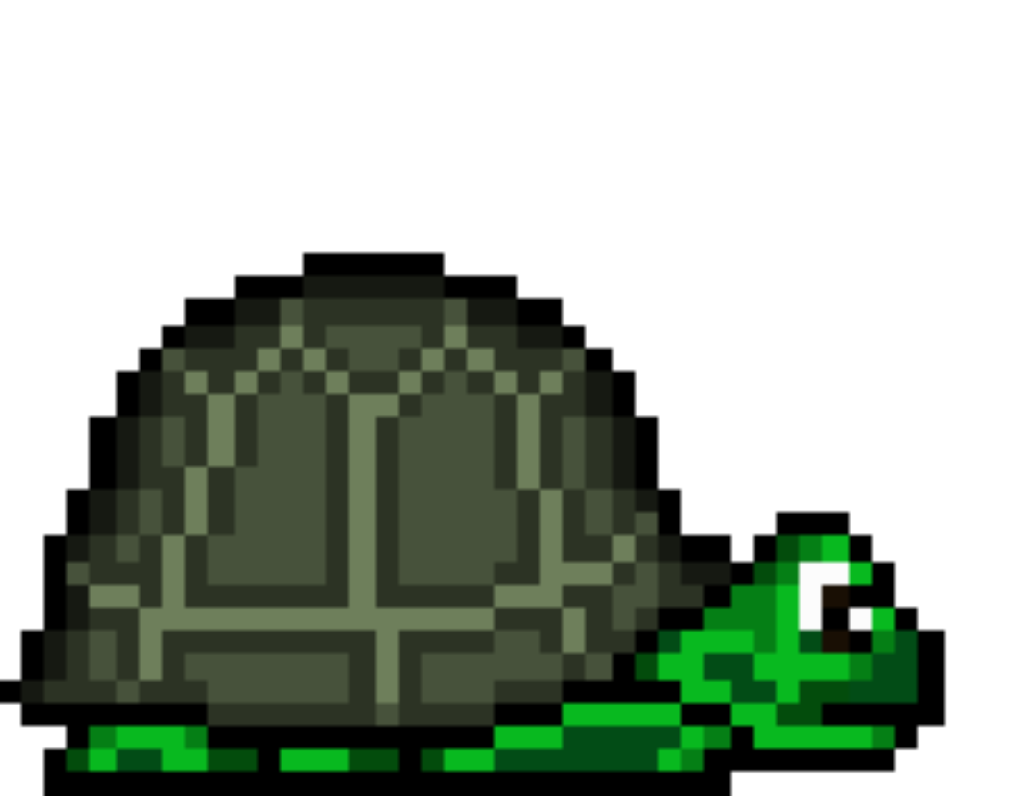 Turtle Life Simulator by aaror874