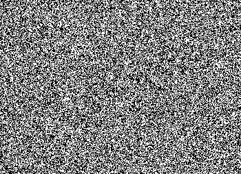 LitterBox - Black & White