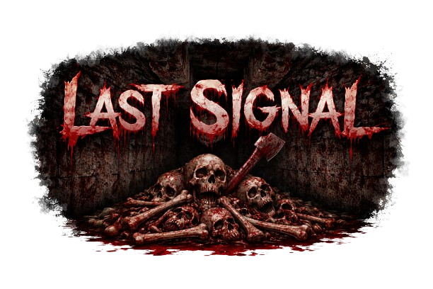 Cover image for Last Signal