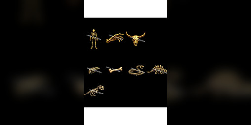 Cover image for skeleton