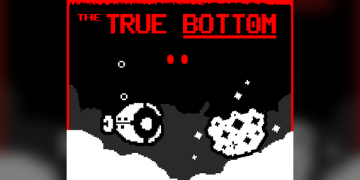 Cover image for THE TRUE BOTTOM