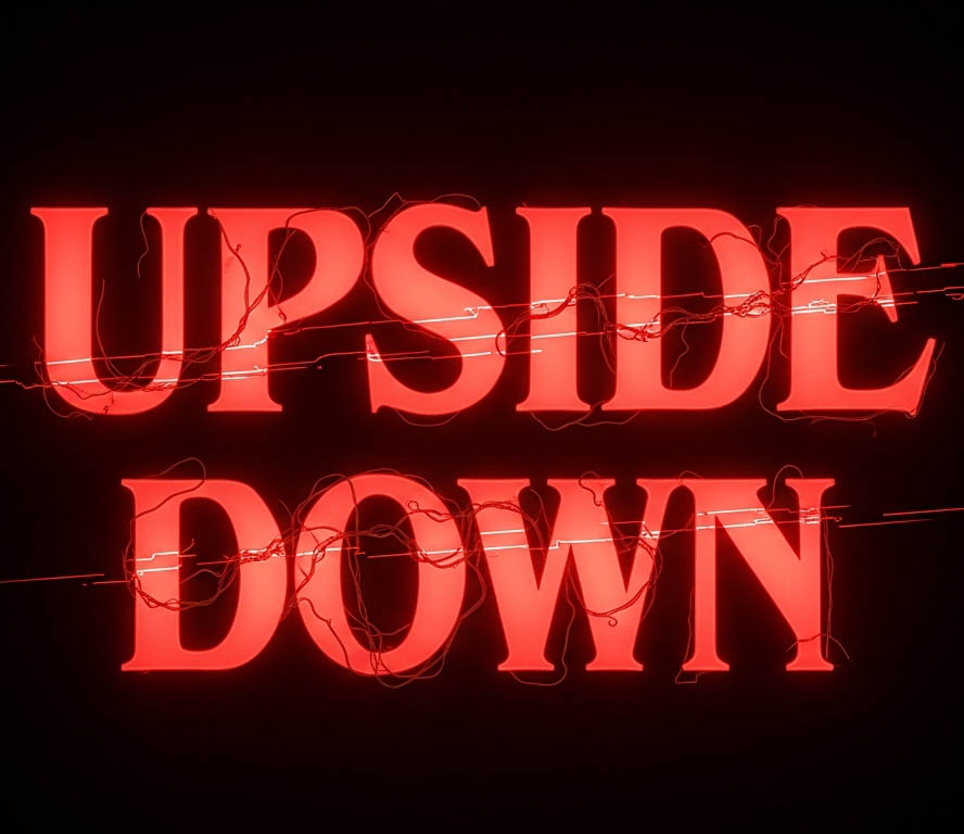 Cover image for Upside Down