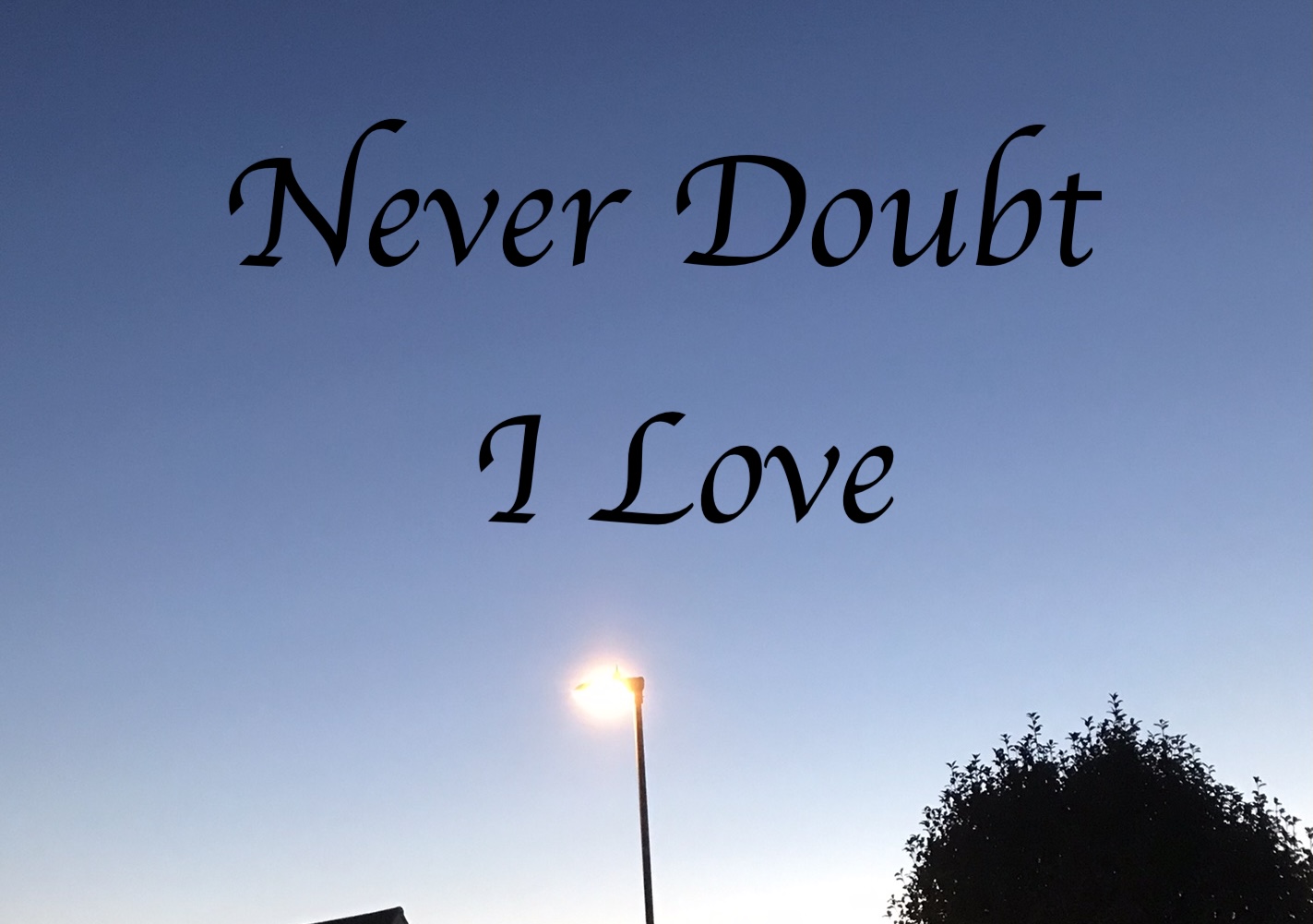Cover image for Never Doubt I Love