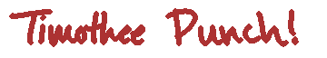 timothee punch