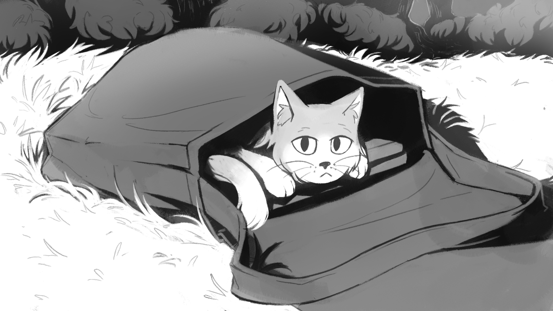 Cover image for Out of the Bag