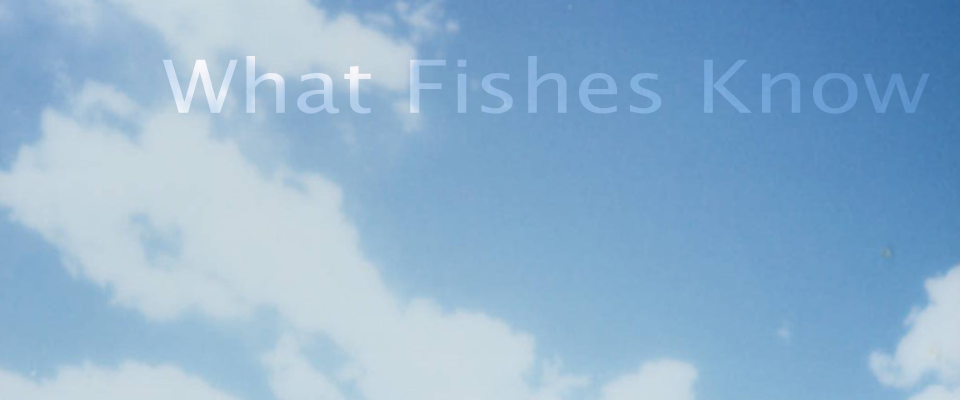 what fishes know