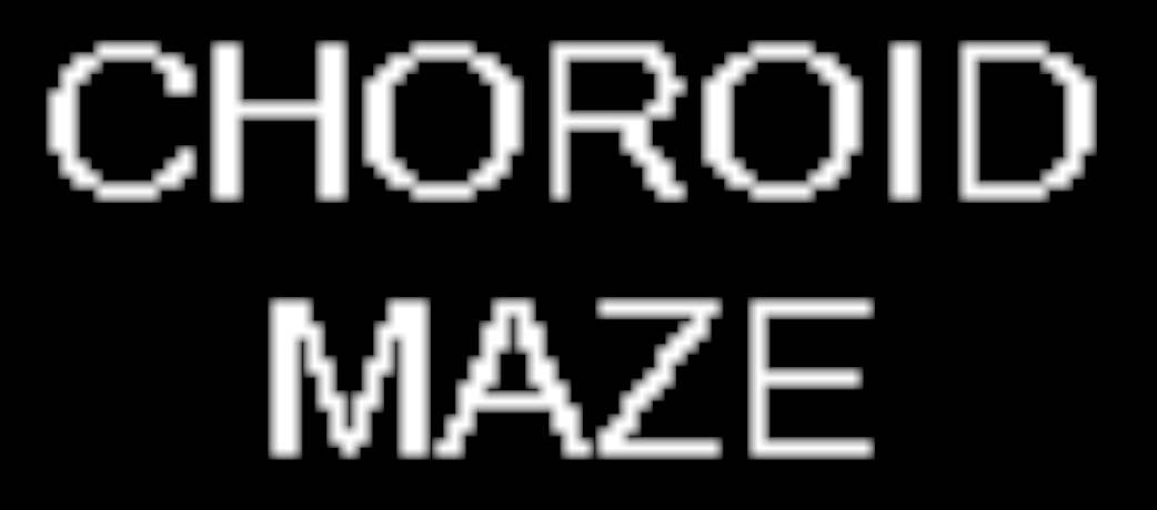 Cover image for Choroid Maze