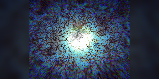 Cover image for TREE