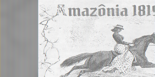Cover image for Amazônia 1819