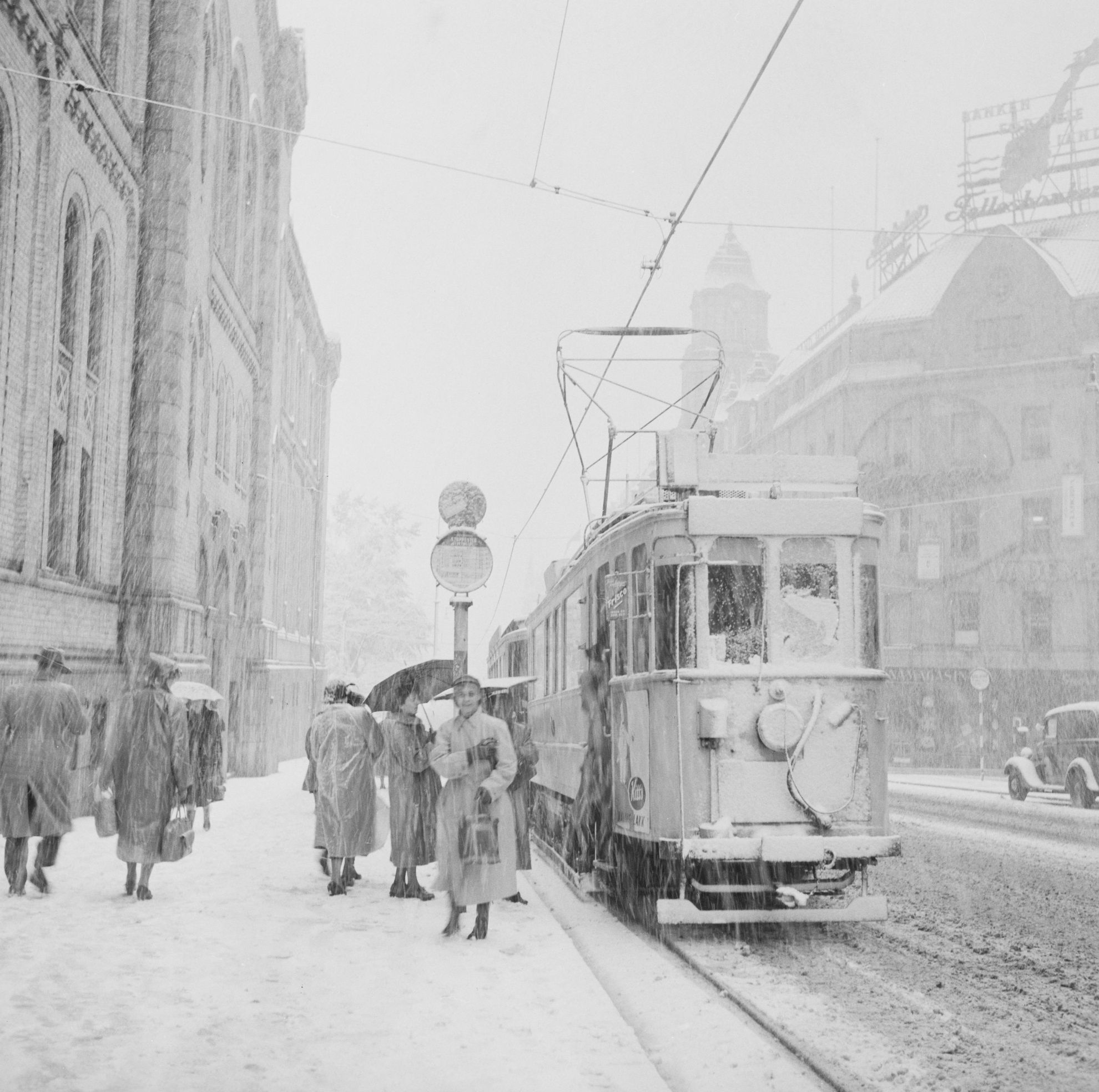 Cover image for Зимняя стража