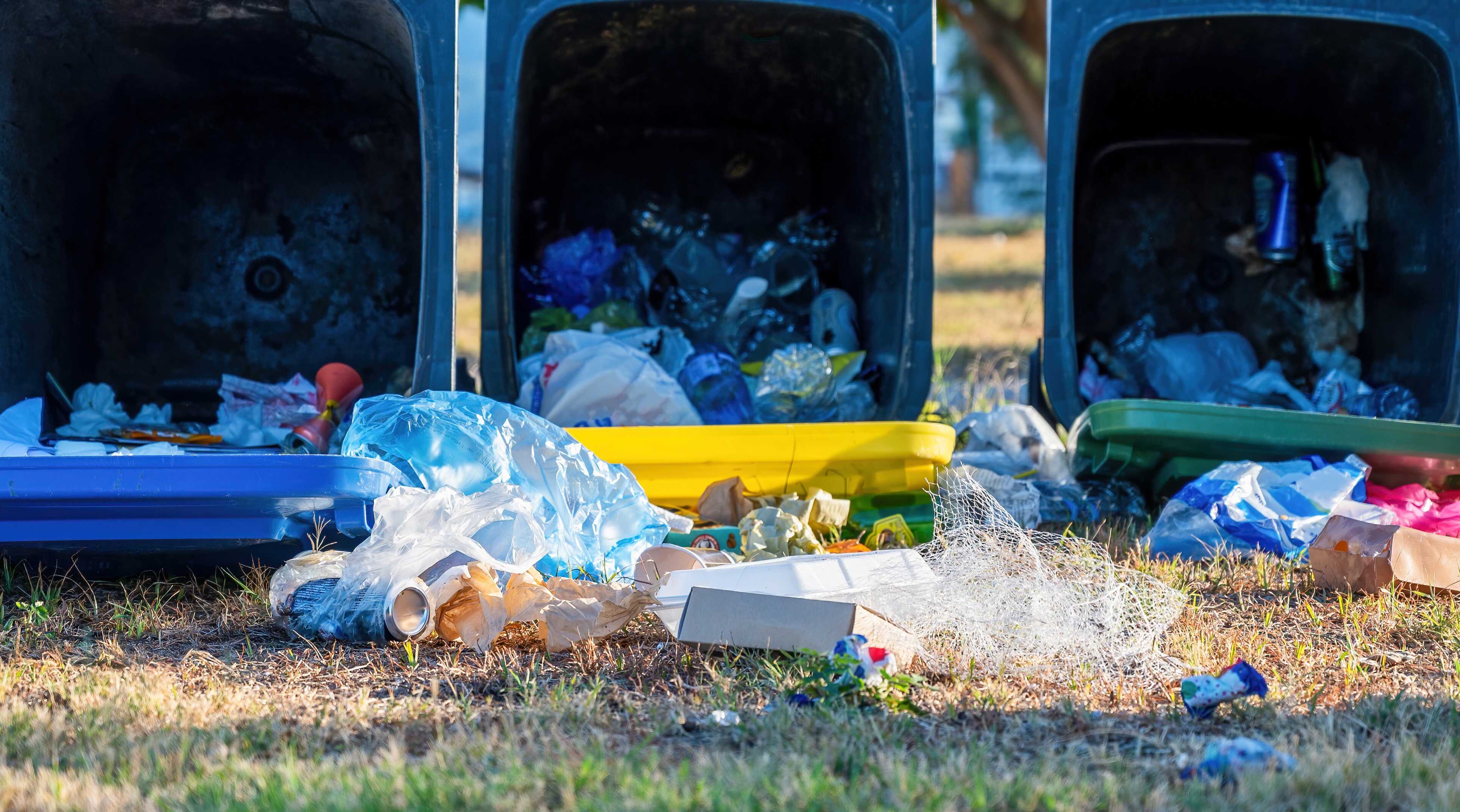 The Journey For Trash