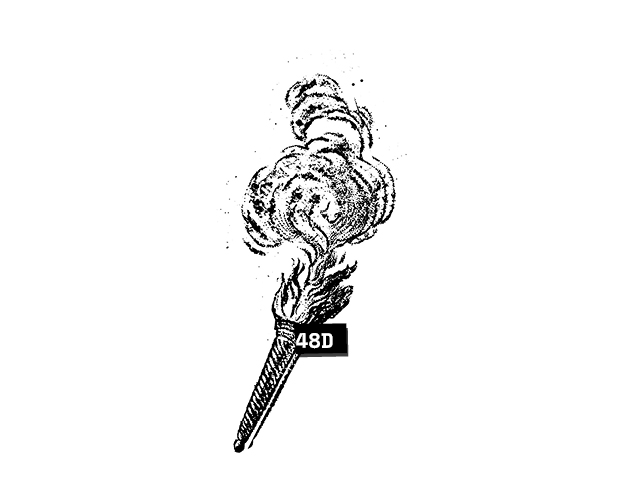 Cover image for 48D