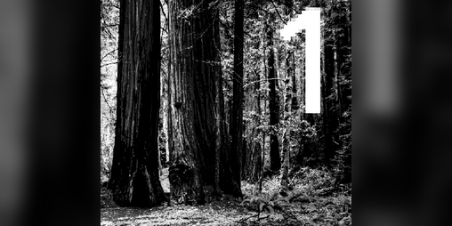 Cover image for project990 #1 ~ "Introduction"