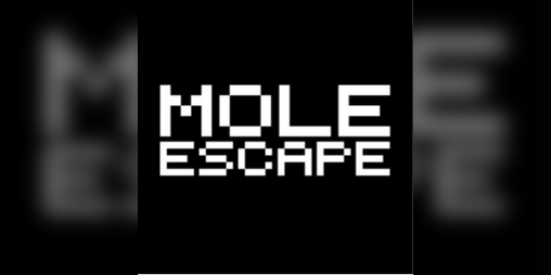 Cover image for Mole Escape