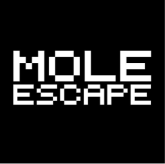 Cover image for Mole Escape