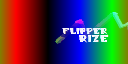 Cover image for Flipper Rise