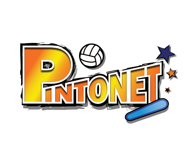 Pintonet