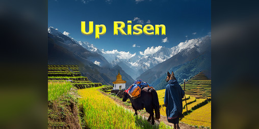 Cover image for Up Risen