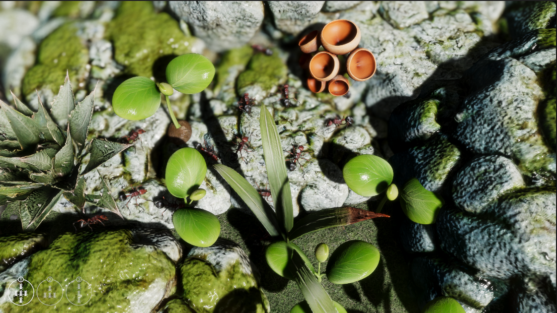 Cover image for ant wars