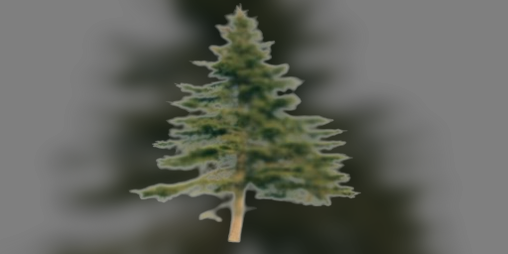 Cover image for The Man in the Woods