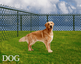 The Dog Game