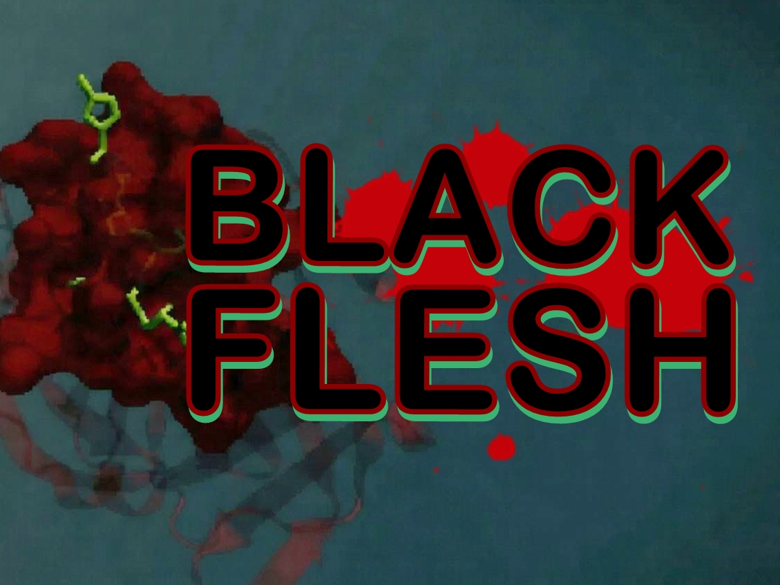 BLACK FLESH
