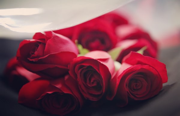 Bed of Roses