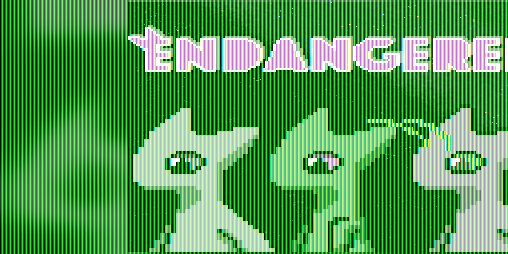 Cover image for Endangered