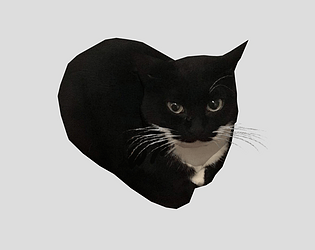 Drift Cats