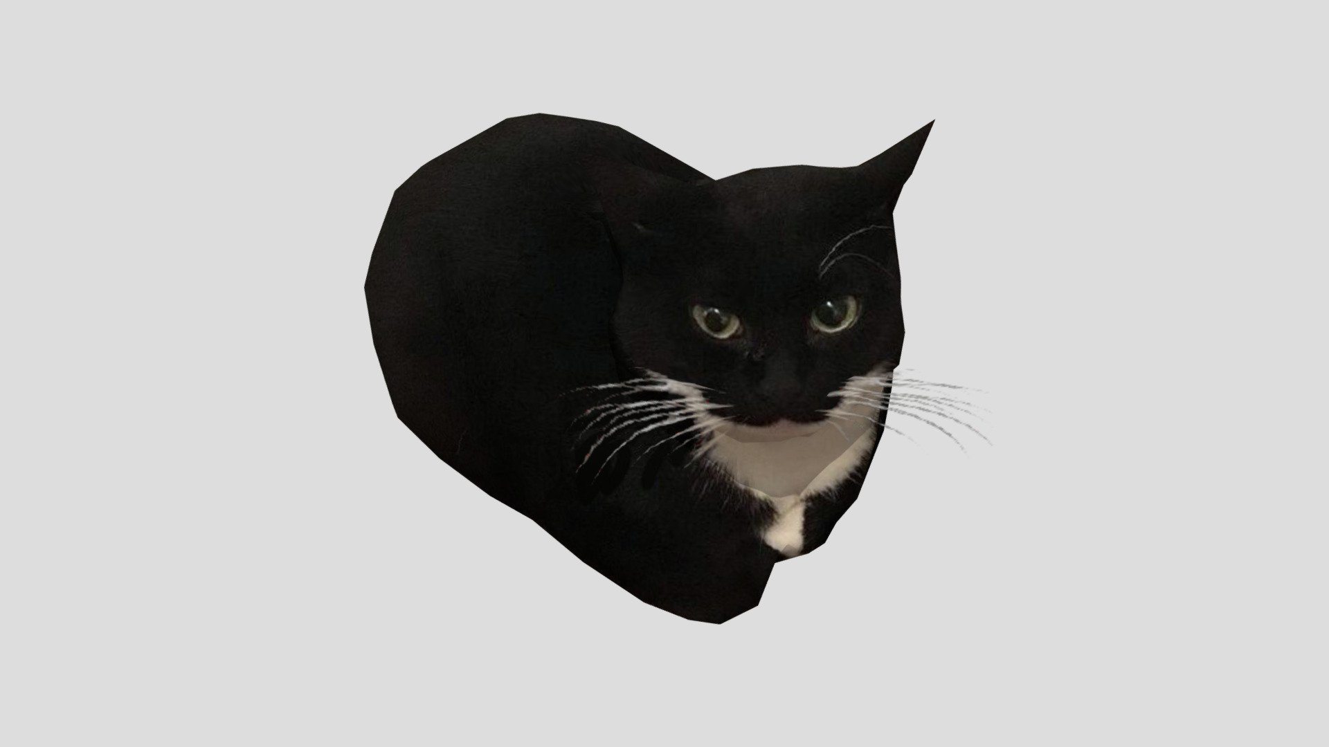 Drift Cats