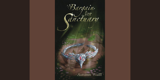 Cover image for A Bargain for Sanctuary