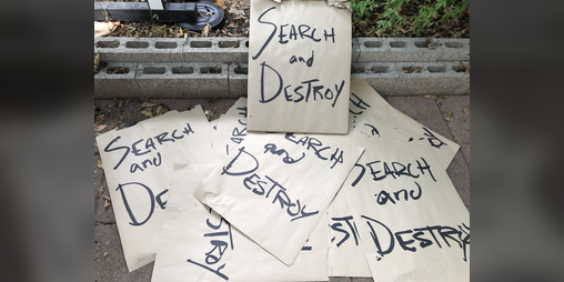 Cover image for Search and Destroy