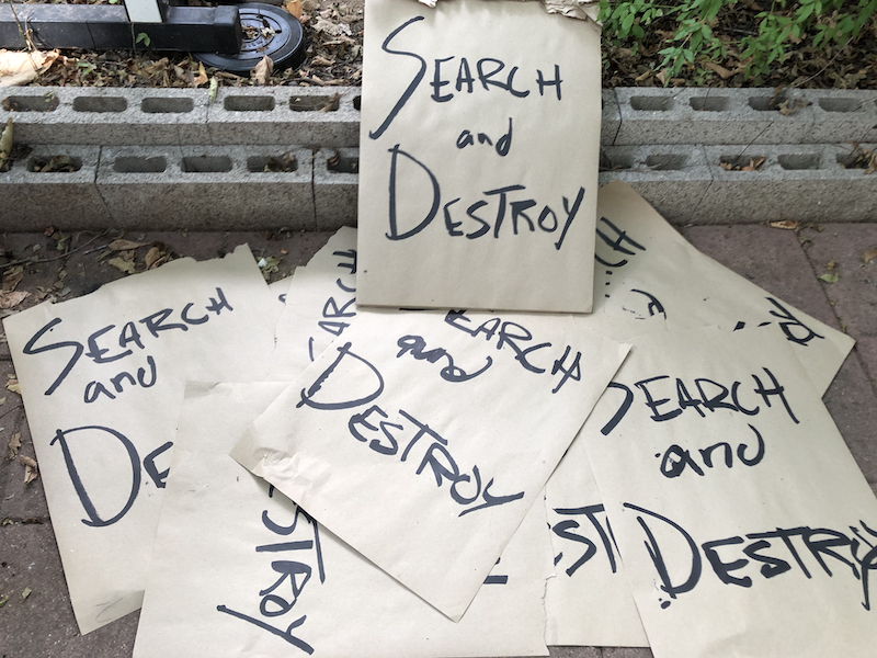 Cover image for Search and Destroy