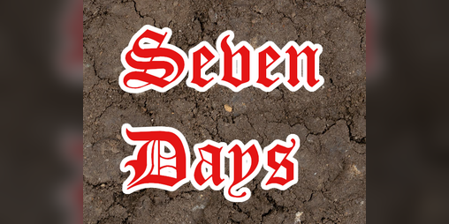 Cover image for Seven Days: For The White Queen