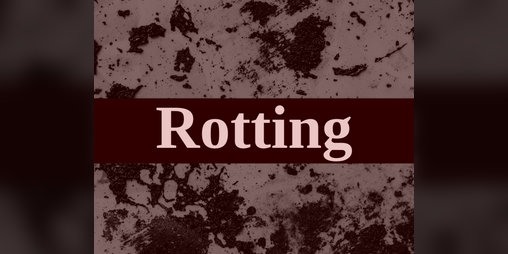 Cover image for Rotting