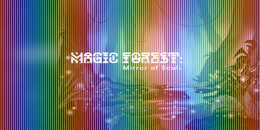 Cover image for Magic Forest: The Mirror of Souls