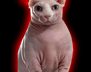 Kill The Catskin game screenshot