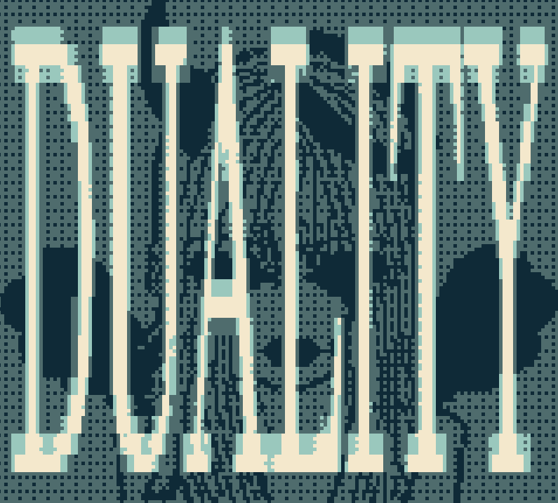 Cover image for Duality