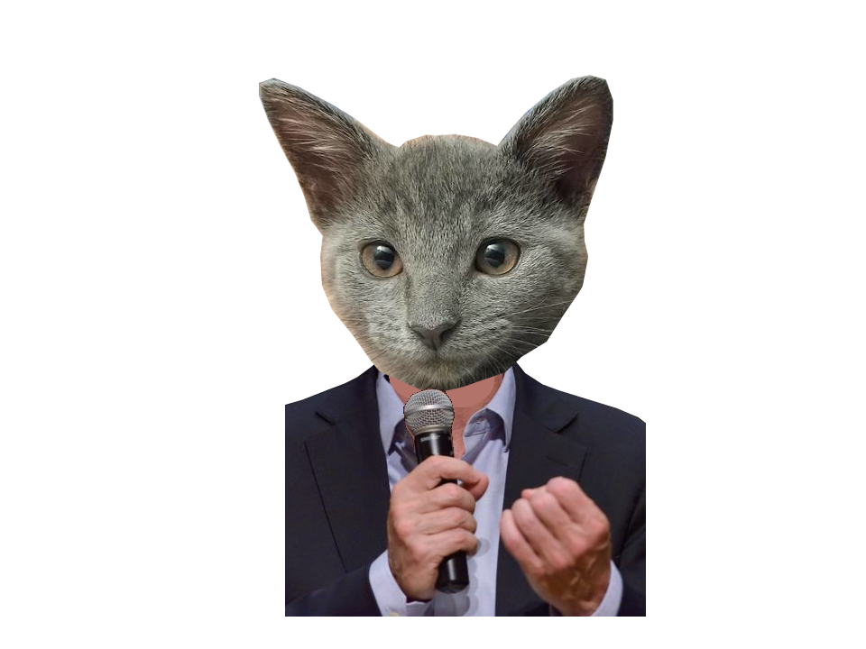Miau Cri el presigato