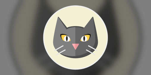 Cover image for Life of A Cat