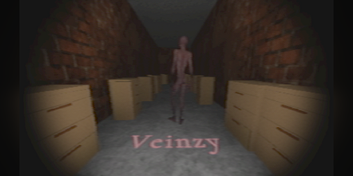 Cover image for Veinzy