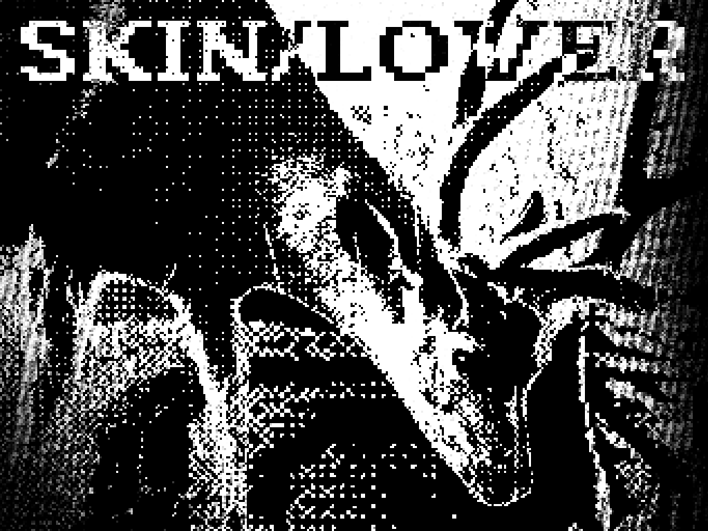 Cover image for SKIN/LOVER