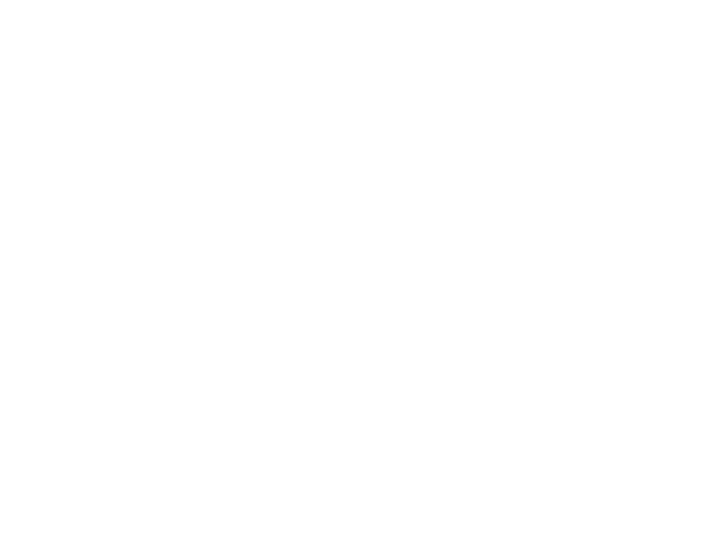 Maryland State Arts Council Individual Artist award 2010