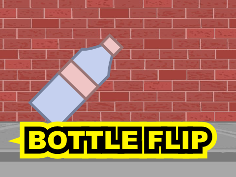 Bottle Flip