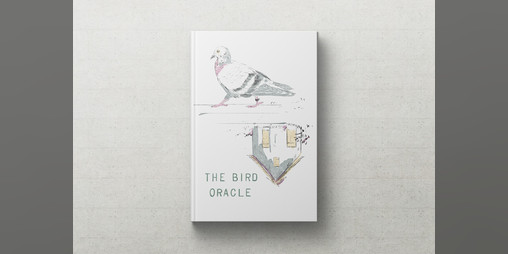 Cover image for The Bird Oracle