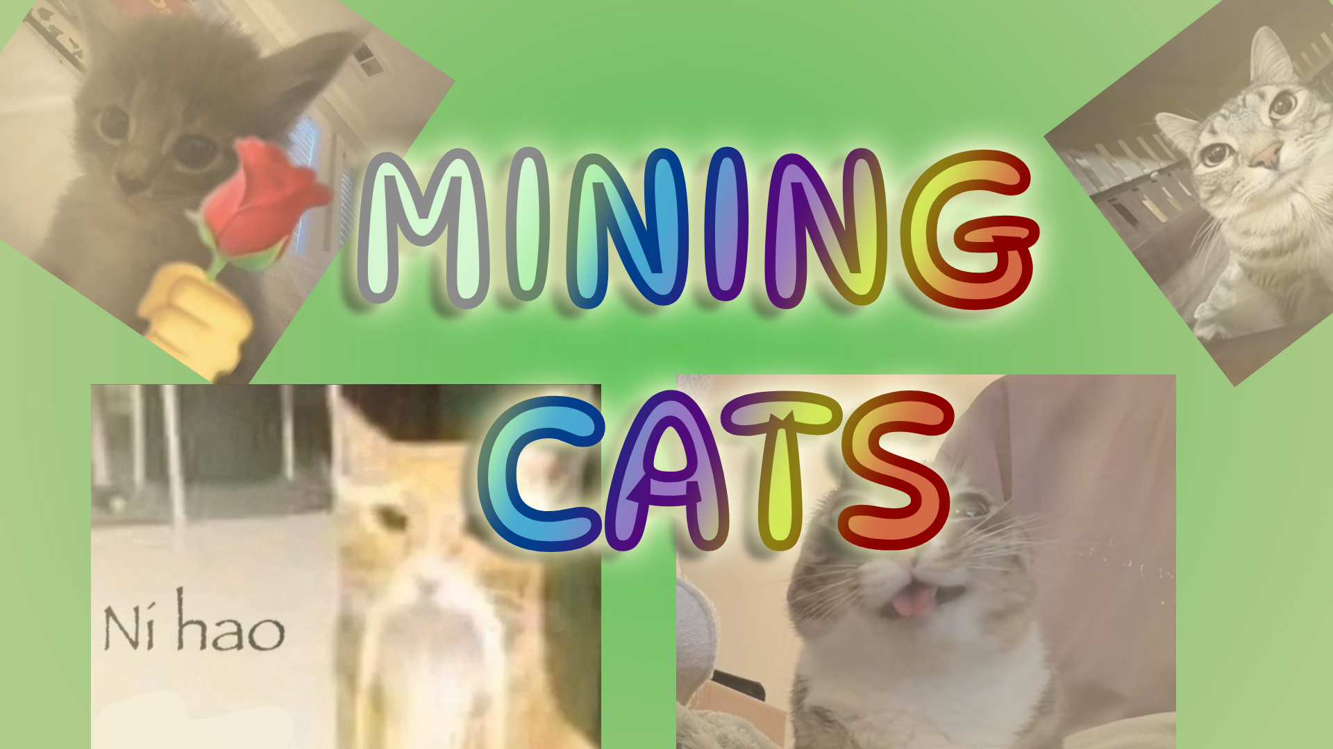 Mining Cats