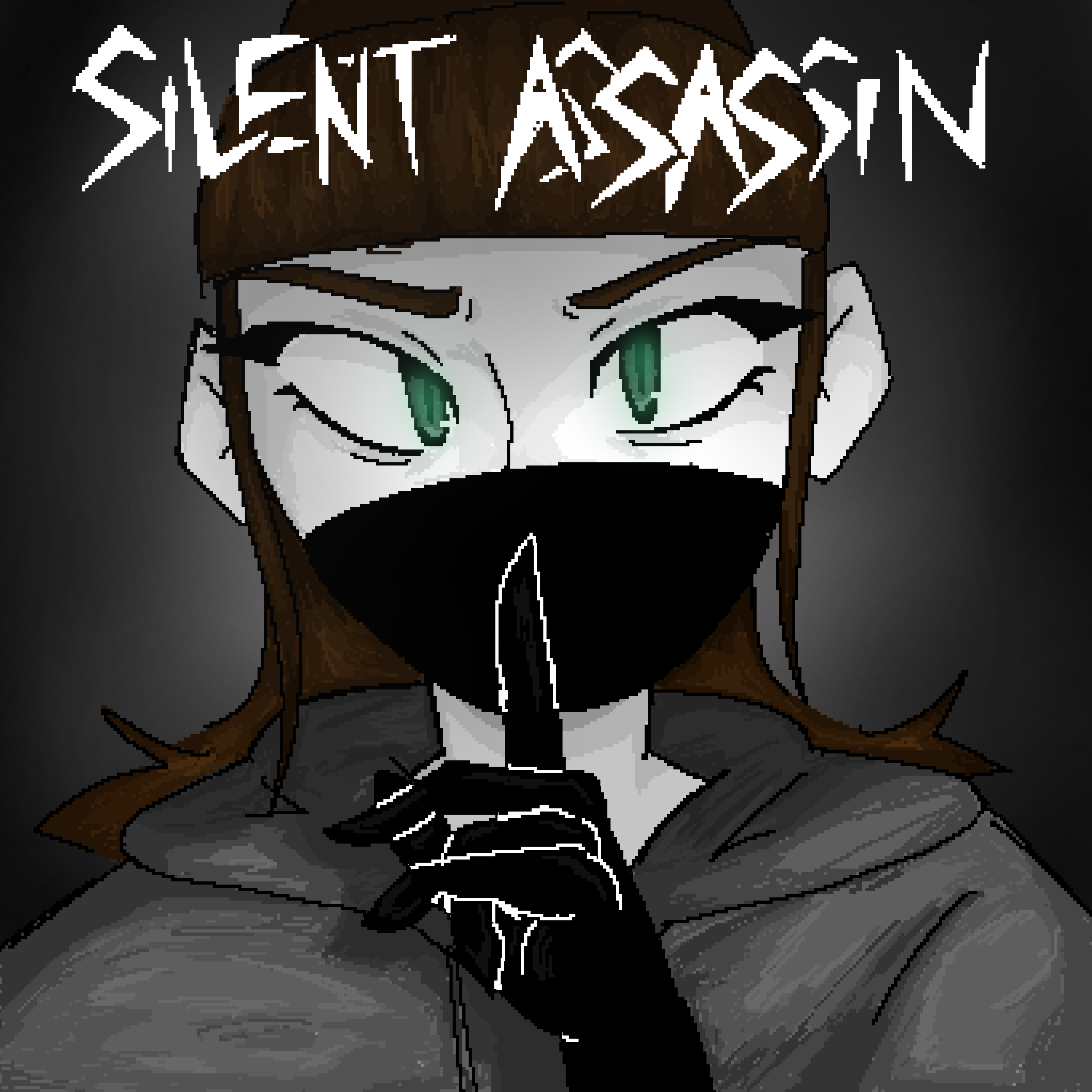 Cover image for Silent Assassin